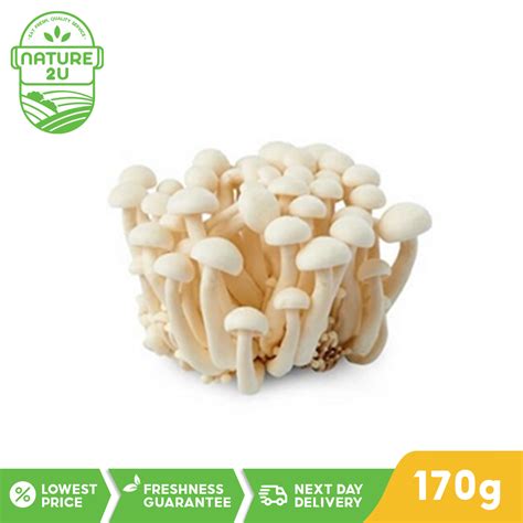 Nature2U Fresh Vegetable - Shimeji Mushroom White / Cendawan Shimeiji ...