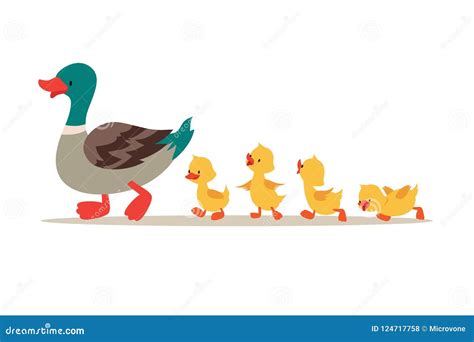 Ducks Cartoon Vector | CartoonDealer.com #36472479