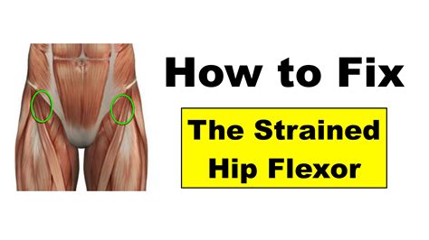 Fixing Hip Flexor Pain – Squat University