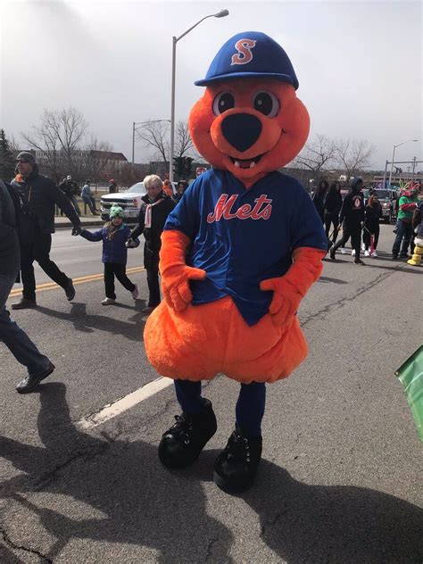 Here's Scooch wearing some Mets stuff - The Mets Police