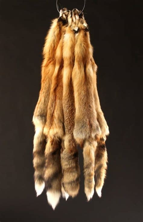 Versatile Color and Warmth | Red Fox Pelt | Merlin's Hide Out