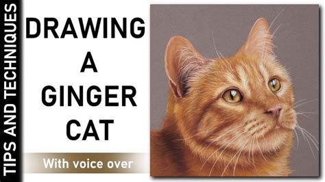 HOW TO DRAW A GINGER CAT IN PASTELS | DRAWING GINGER FUR - YouTube