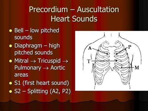 PPT - Introductory Clinical Skills Course Cardiovascular System ...