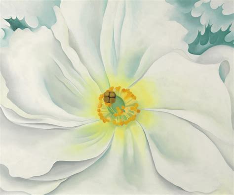 White Flower, 1929 by Georgia O'Keeffe - Paper Print - Georgia O'Keeffe ...