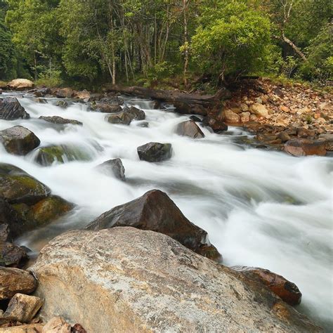 This Stunning National Park In Johor Is Perfect For Your Next Outdoor ...