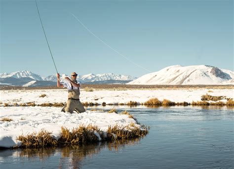 Arctic Char Fishing: Techniques, Bait and Gear - TRIZILY.COM