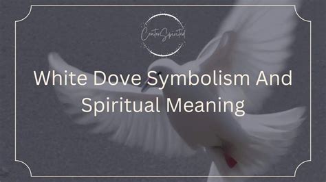 White Dove Symbolism and Spiritual Meaning