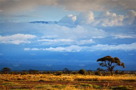 African savanna landscape containing amboseli, national, and park ...