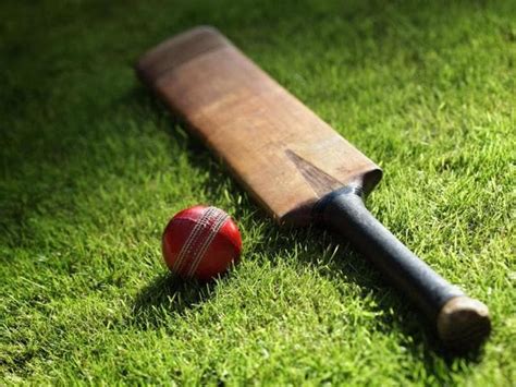 Cricket needs to be a fair contest between bat and ball | Crickit