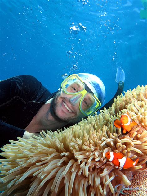 Snorkelling on the Great Barrier Reef - Port Douglas | Quicksilver Cruises