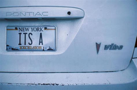 88 Best Funny License Plates That Are Seriously Clever