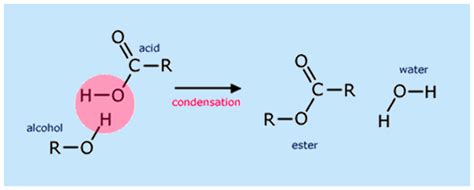 Condensation Reaction Between Alcohol And Carboxylic Acid