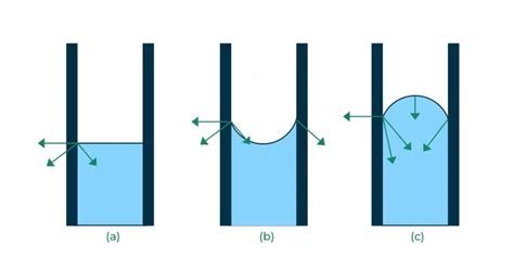 Capillary Action - Definition, Meaning and Examples