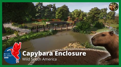 Wild Planet Zoo | Capybara Enclosure | Piece by Piece Build - YouTube