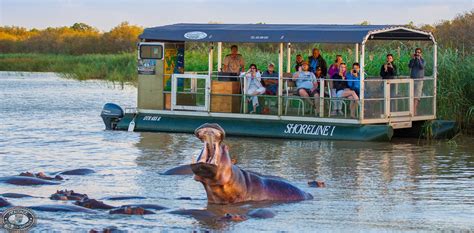 Magnificent Hippo & Croc Boat Cruise St Lucia KZN R380 P/P