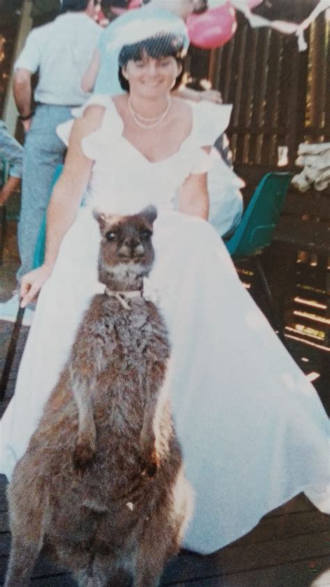 My Mom had a Kangaroo growing up, and it was the ring bearer at her ...