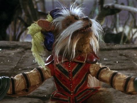 Labyrinth, Sir Didymus-"the air is sweet and fragrant". Labyrinth 1986 ...