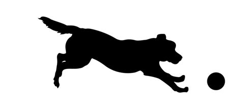 dog-running-silhouettes – Dover Shores Veterinarian