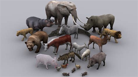 3D model ANIMALS FULL PACK GAME READY ANIMATED MODELS VR / AR / low ...