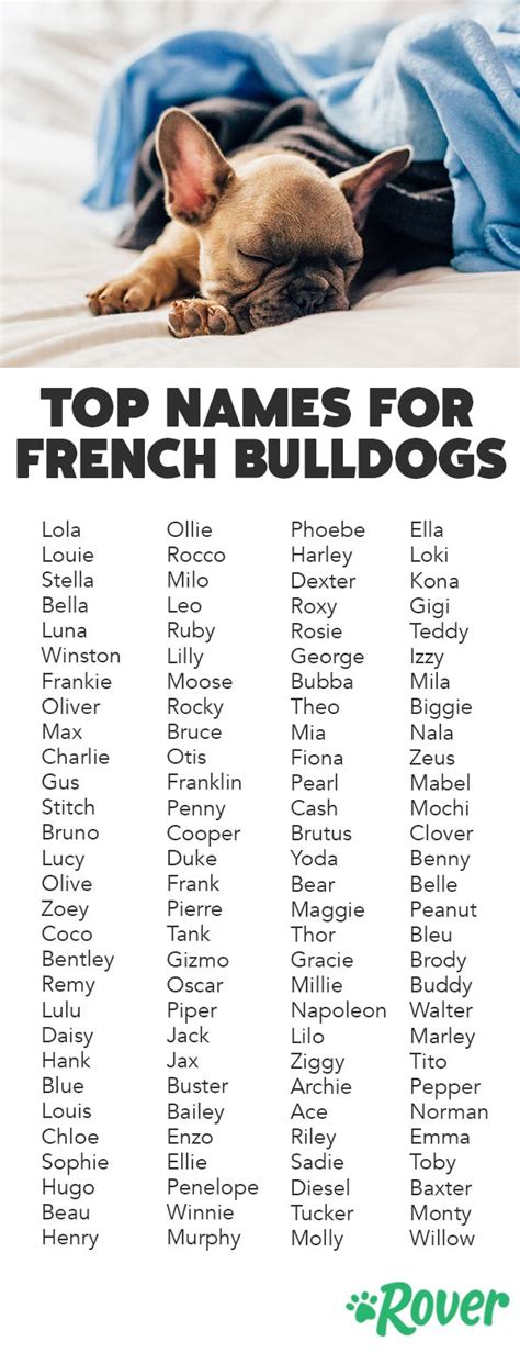 Top 300 French Bulldog Names | French bulldog puppies, Bulldog, French ...