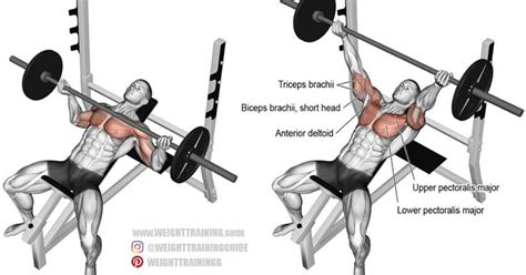 THE BEST EXERCICES FOR CHEST MUSCLE 1: LOW INCLINE BARBELL BENCH PRESS ...