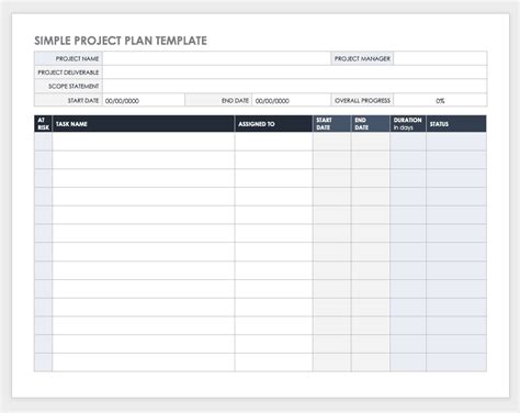 Project Plan Template Microsoft Word Collection