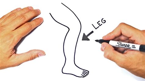 How to draw a Leg Step by Step Leg Drawing Lesson