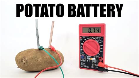 Potato Battery Experiment For Kids | Kids Matttroy