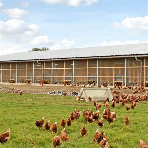 Broiler Poultry Farm House Design | Poultry farm design, Poultry house ...