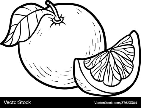 Coloring book grapefruit Royalty Free Vector Image