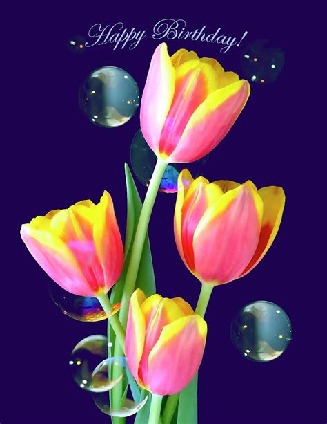 Happy Birthday Tulips Images | Birthday Cards