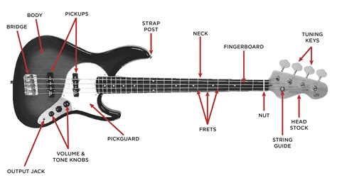 Bass Guitar Buyer's Guide