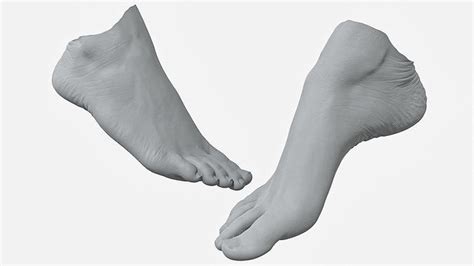 Womans Foot 3D Scan 3D model | CGTrader