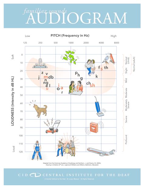 Audiogram Form Printable - Printable Forms Free Online