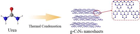 Schematic diagram for g-C3N4 nanosheets synthesis process | Download ...