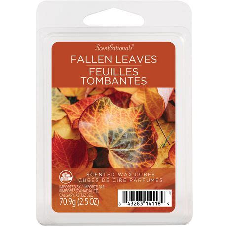 ScentSationals Scented Wax Cubes - Fallen Leaves | Walmart Canada