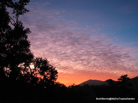 Bush Bernie's Blog: Early Winter Morning Sunrise ... The Year In ...