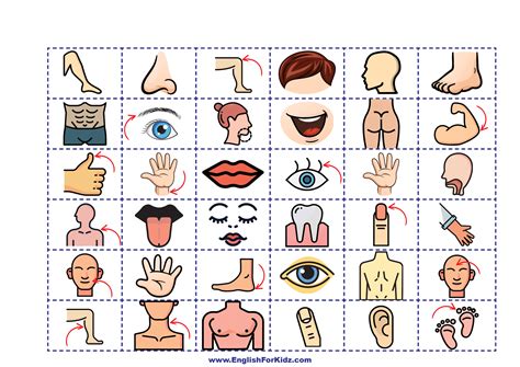 Parts of the Body - Printable Board Game