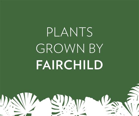 All Plants – Page 12 – Fairchild Tropical Botanic Garden