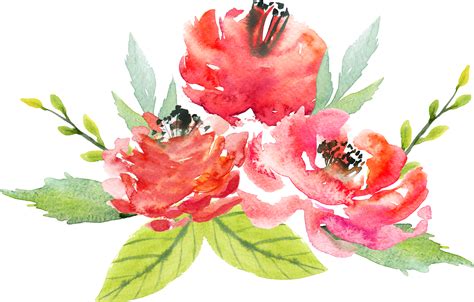 Flower watercolor png, Flower watercolor png Transparent FREE for ...