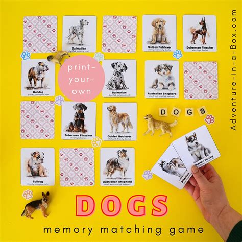 Dog Memory Game | Adventure in a Box