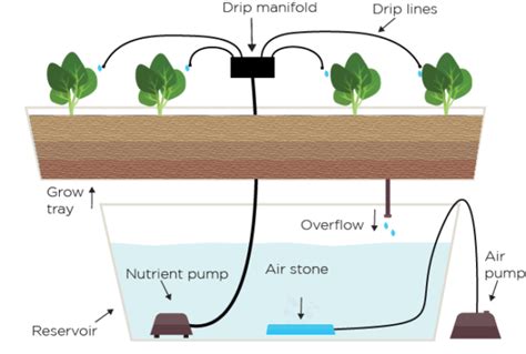 FloraFlex® Drip System – Superior Organics