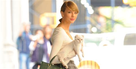 Taylor Swift's Cats: Names, Breeds, More - Parade