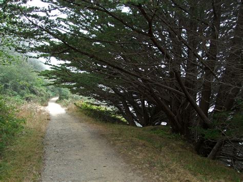 The Coastal Trail: Del Norte Coast Redwoods State Park, California