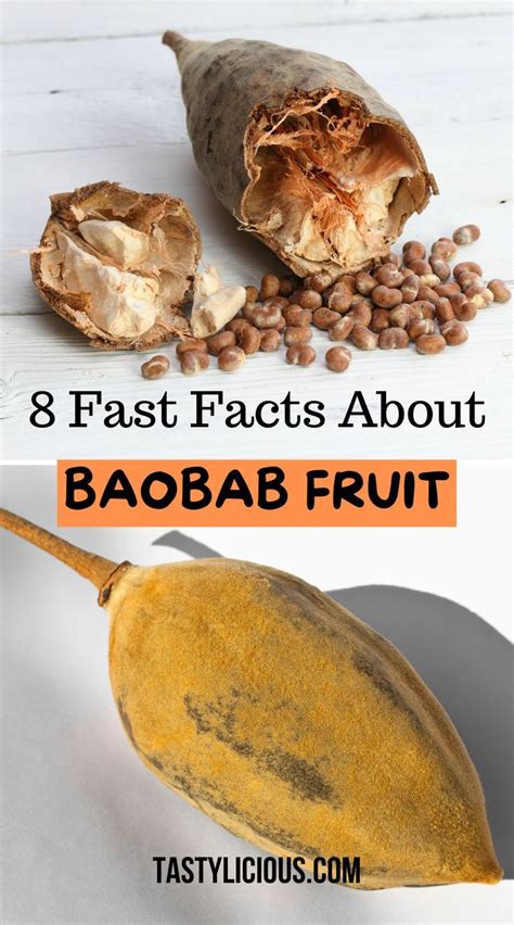 8 Fast Facts About Baobab Fruit | Tastylicious! | Fruit benefits ...