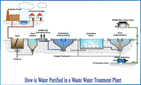 How is water purified in a waste water treatment plant