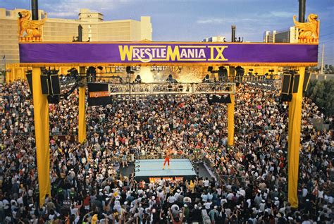 WrestleMania IX in Las Vegas: Shawn Michaels, Undertaker recall the ...