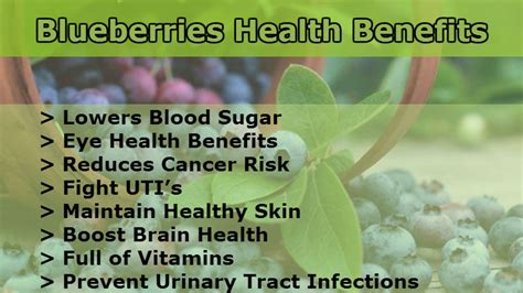 Health Benefits: Health Benefits Blueberries