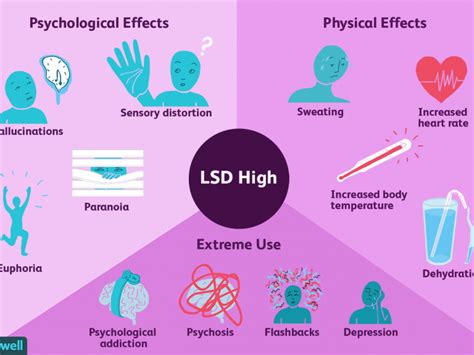 The Effects of LSD on the Brain – The Keynote