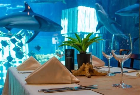 Cargo Hold Restaurant - Durban Tourism